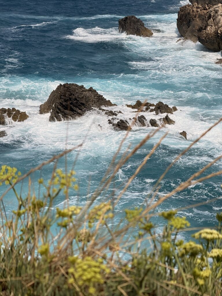 img 5609